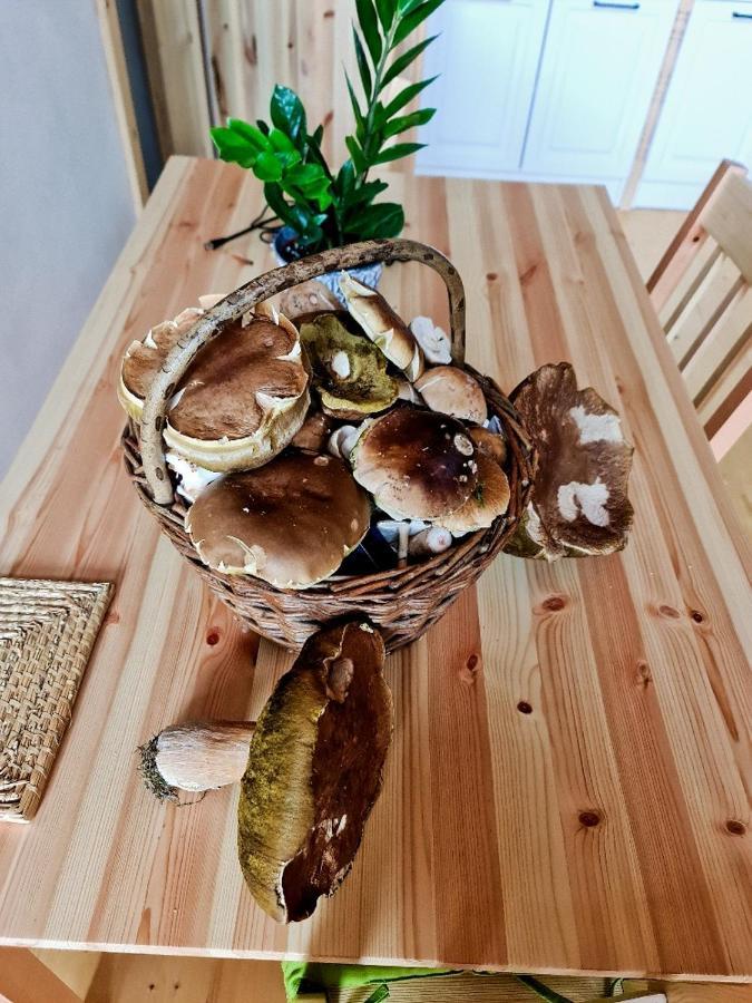 Chata Zorka Oparany Экстерьер фото